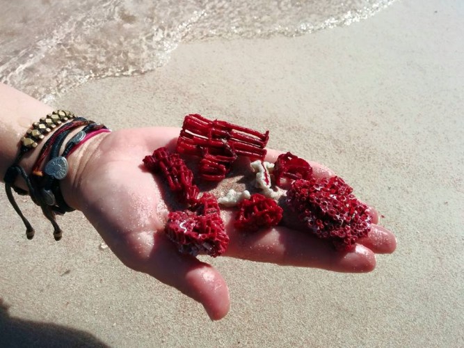 Red coral from pink sand beach in Indonesia