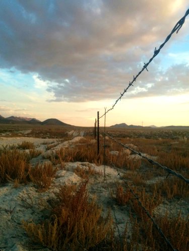 Barbed wire fence in the nevada desert at sunset