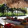Fruit Stand
