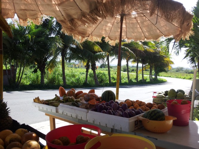 Fruit stand puerto rico