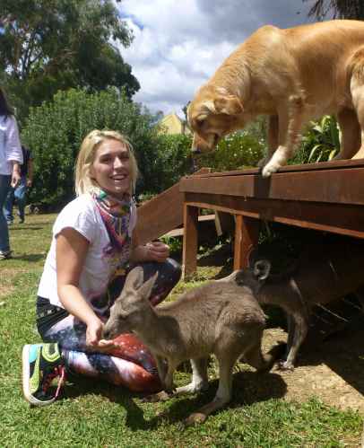girl with kangaroos