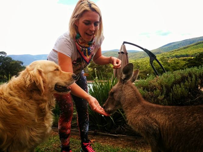 girl feeding kangaroo