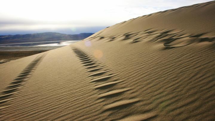 Sand Mountain Nevada USA