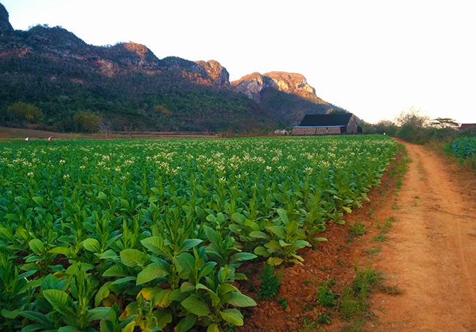 img_20170214_181530editweb